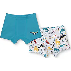HelloBaby Erkek Bebek Külot Ribana Reçme Paça 12-2 Yaş