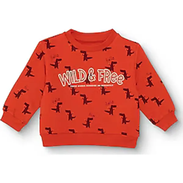 HelloBaby HelloBaby Erkek Bebek Sweatshirt Dinozor Baskılı Bisiklet Yaka Uzun Kol 3-6 Ay