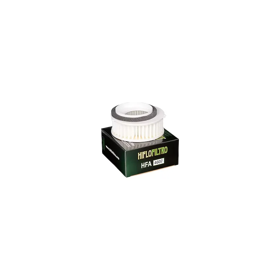 Hiflo Hfa4607 Motosiklet Hava Filtresi