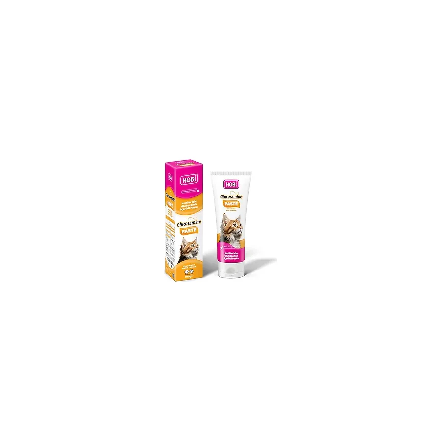 Hobi Glucosamine 100 gr Kedi Macunu