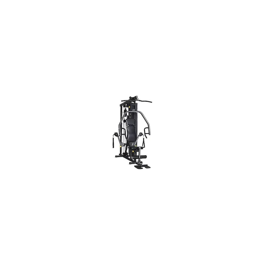 Horizon Torus 3 Ağırlık Çalışma İstasyonu