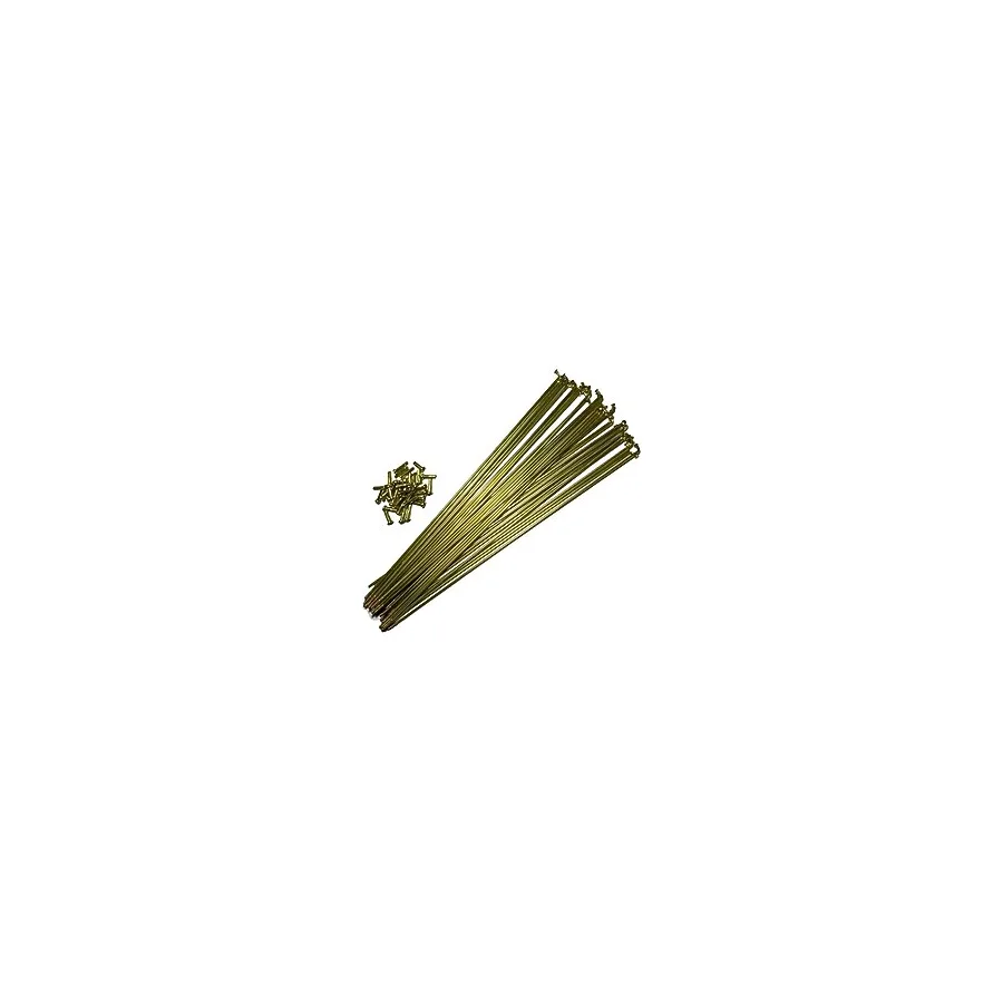 Hsgl Bisiklet 2mm 255 mm Gold Sarı Jant Teli Bisiklet Jant Teli