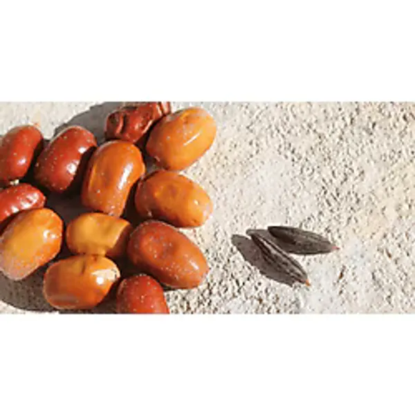 İğde Tozu 250 Gr