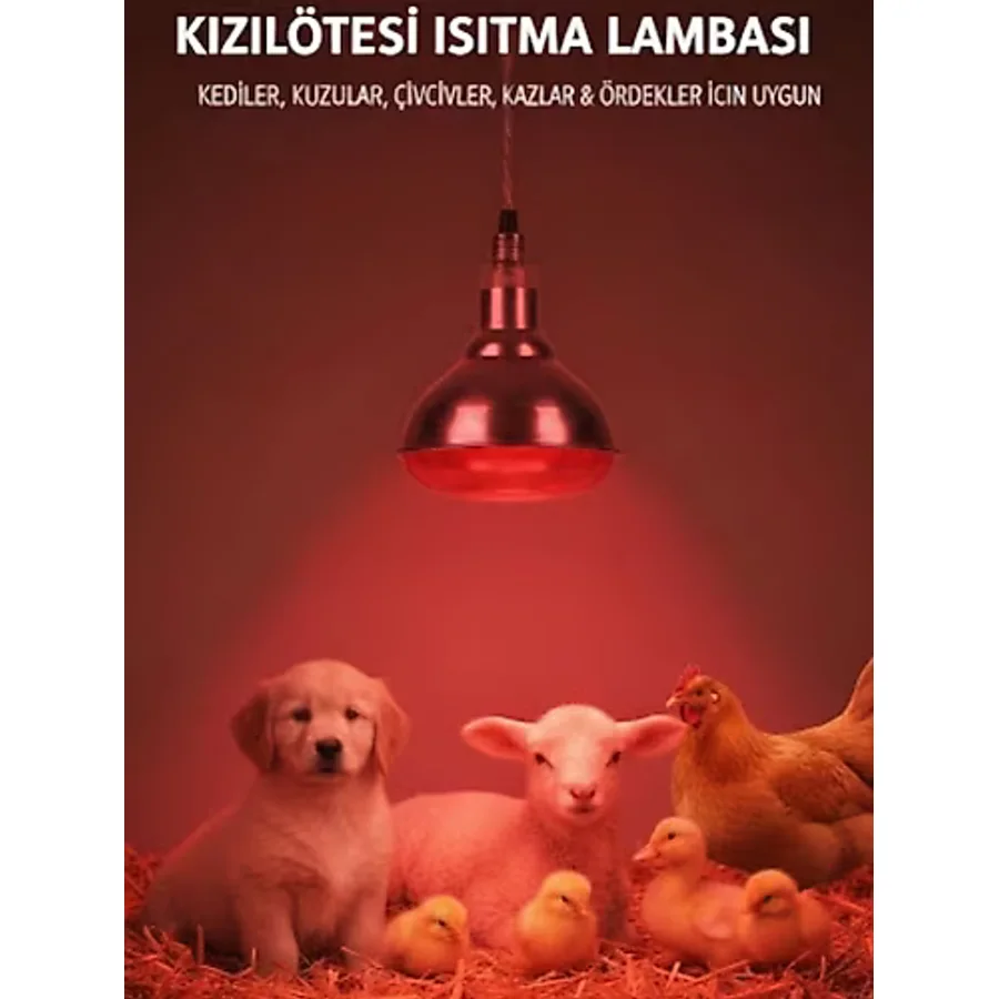 İnfrared Ana Kucağı Isıtıcı Lamba ampul 150W Yüksek Performanslı