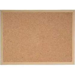 Inter Mantar Pano Mdf Çerçeve 60X90 305-M