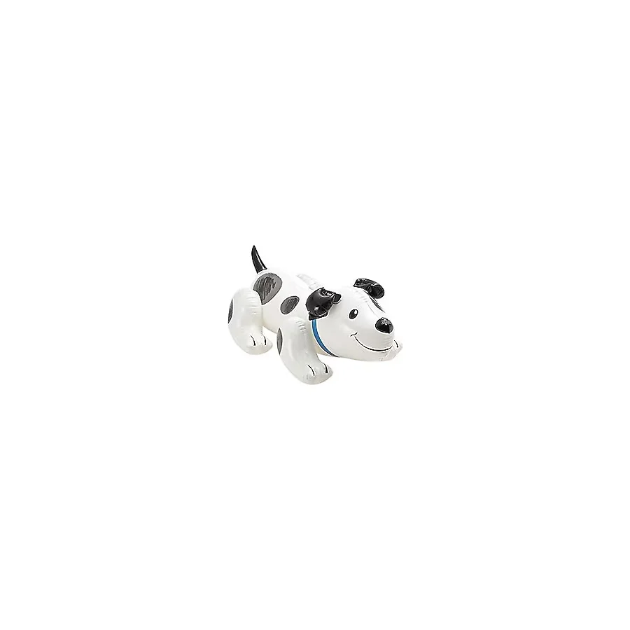 Intex 57521 108x71 cm Köpek Binici