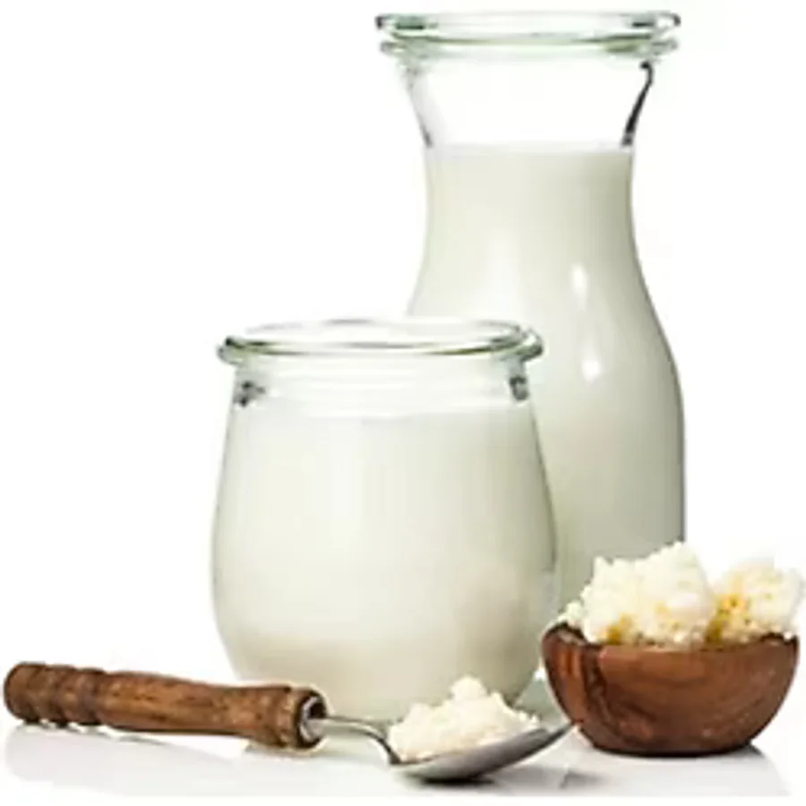 İpek Gurme Çoğalabilir Ev Yapımı Kefir Mayası 660 cc - 660 ml