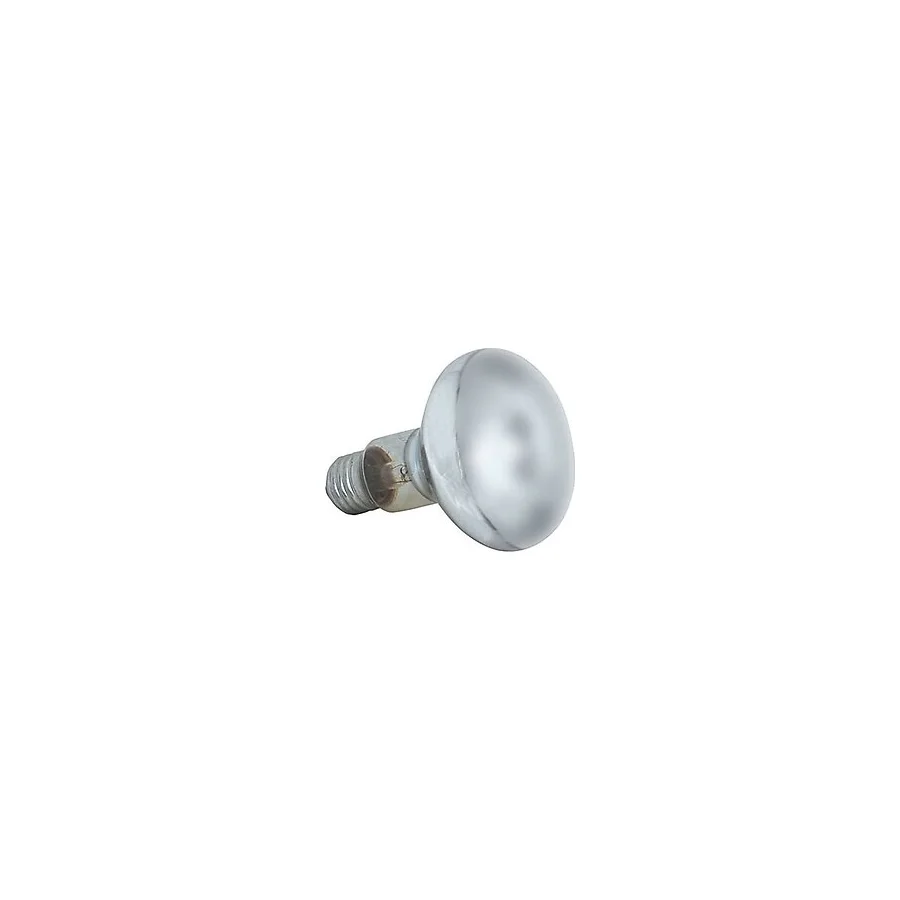 Isıtıcı Lamba 60 Watt R 80