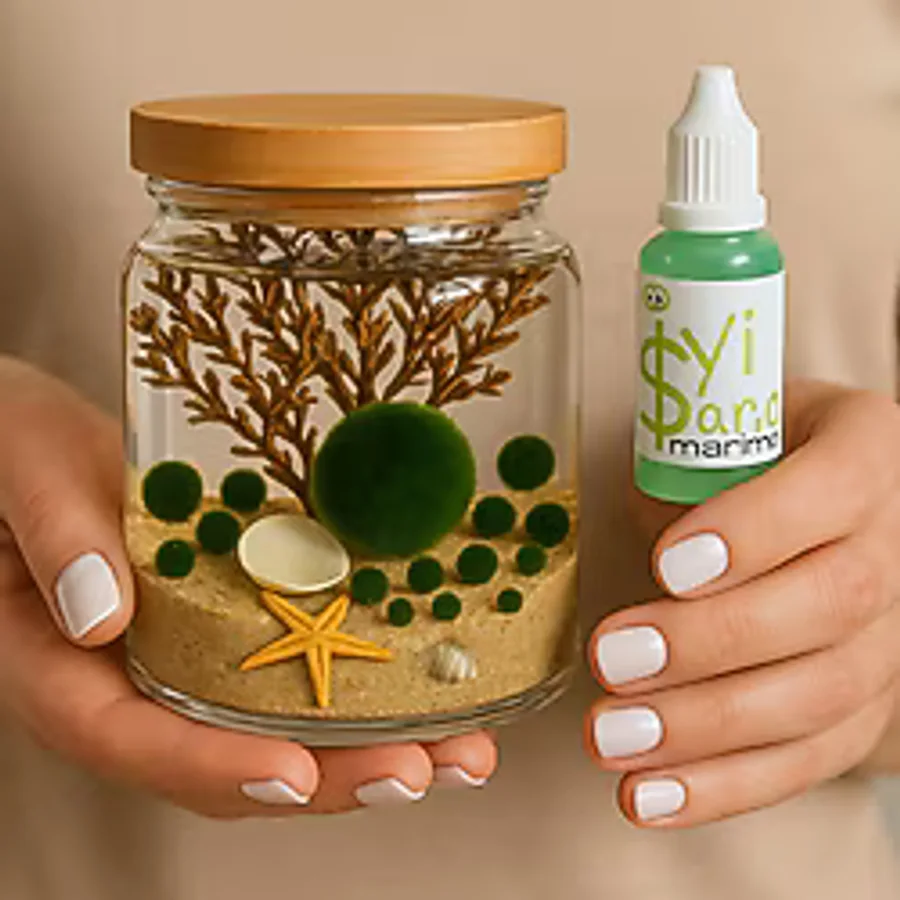 İyişans Marimo Special 5 Baby ve 1 Anne Japon Şans Yosunu Teraryumu Marimo Feeder Hediyeli