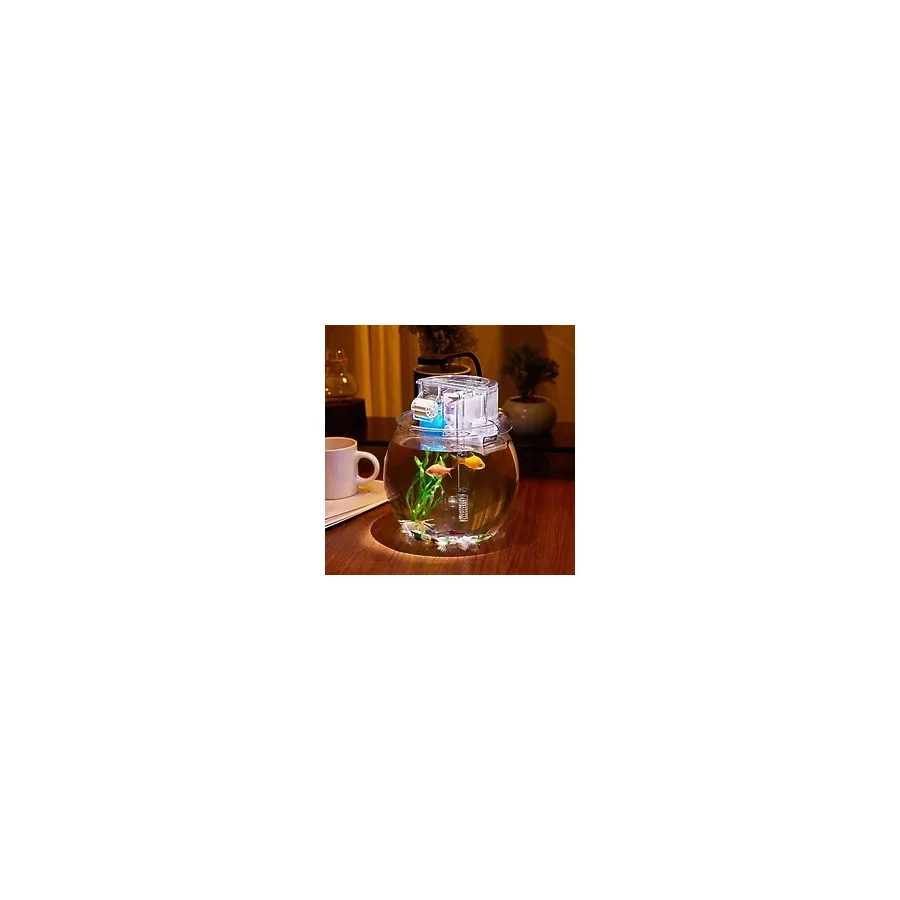 Jeneca Yg-29 Mika Fanus Akvaryum Seti 29X29X27 cm - Modern Tasarım, LED Işıklı ve Filtreli