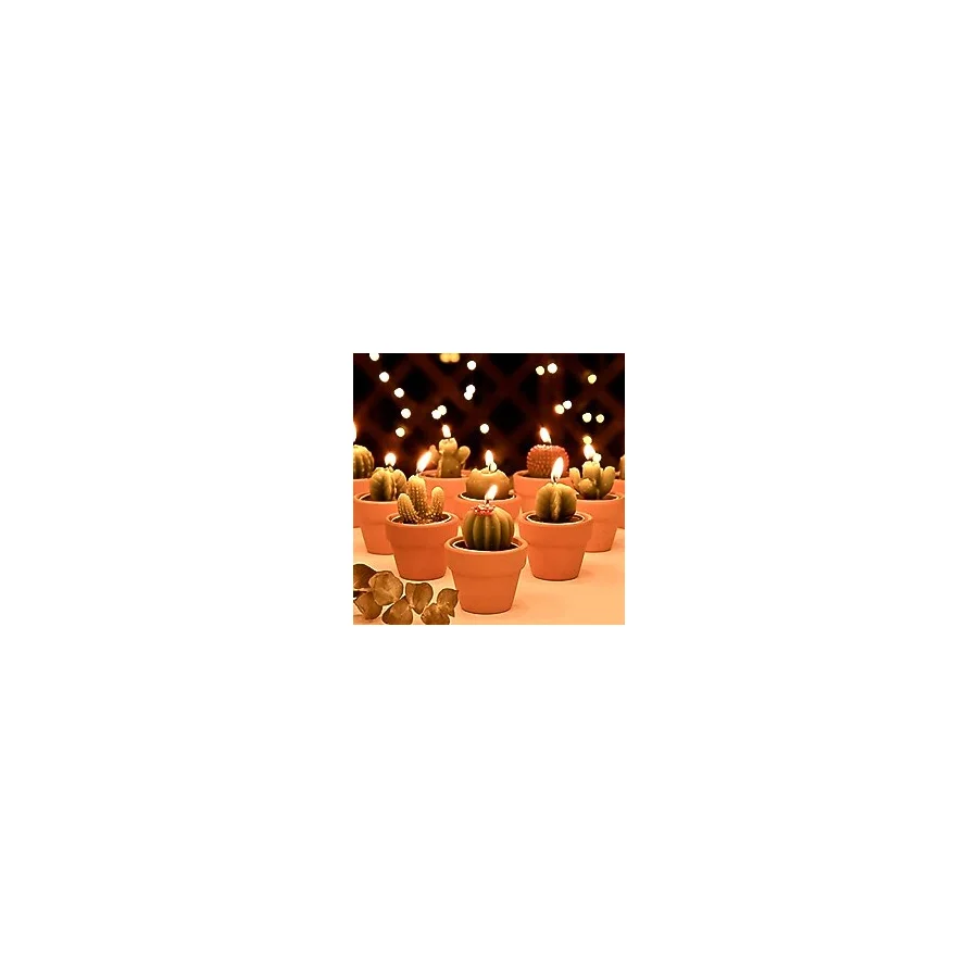Juan's Moment 12 adet Kaktüs Tealight Mumlar Gelin Partisi Hediyeleri Boho Meksika Parti Dekorasyonları Sukulent Mum Mini Çay Işığı Bebek Duşu Hediyeleri Yenilik Fiesta Teraryum Bitki Mumları Toplu
