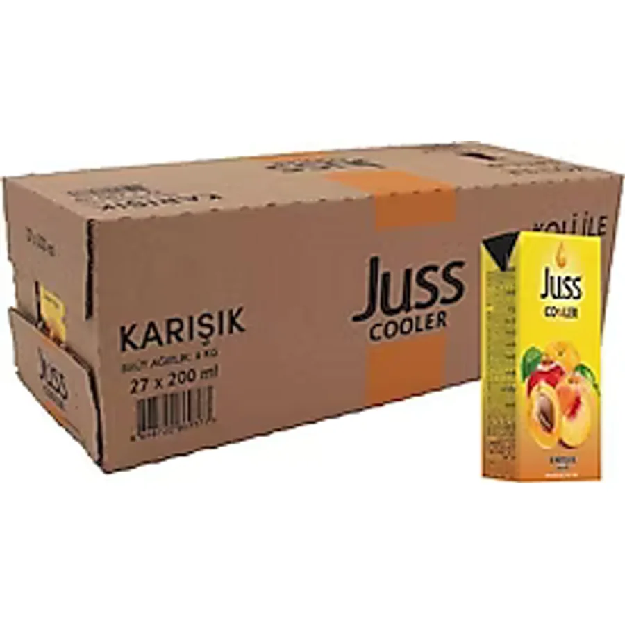 Juss Cooler Meyve Suyu 27x200 ml