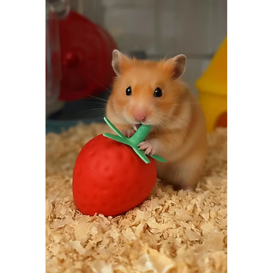 JxHEM Hamster Oyuncagı Diş Sağlıgı için Önerilir. Yavru ve Yetişkin Hamsterlara Uygun