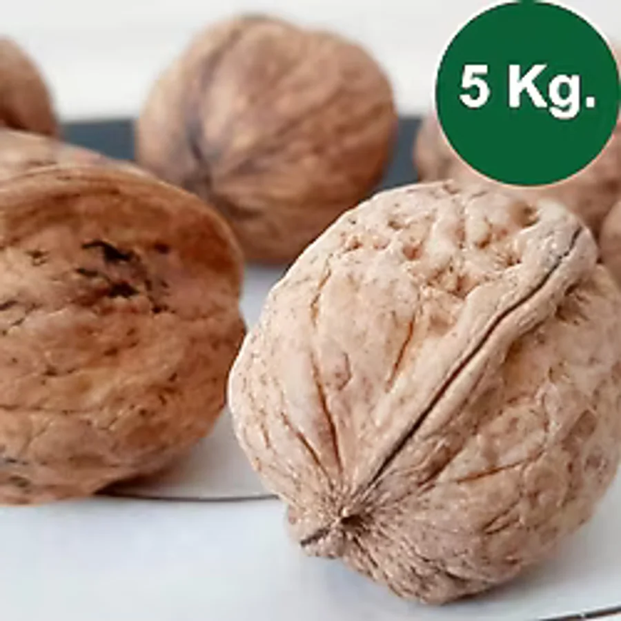 Kabuklu Ceviz Süper 5000 gr