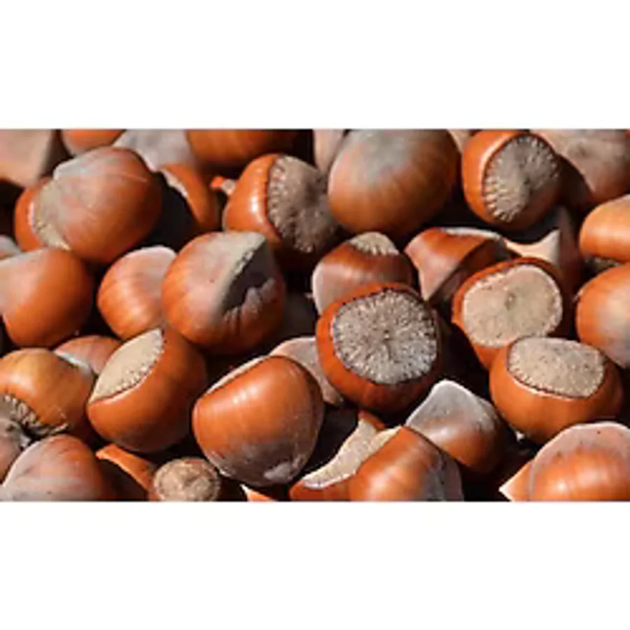 Kabuklu Fındık Doğal 1 kg