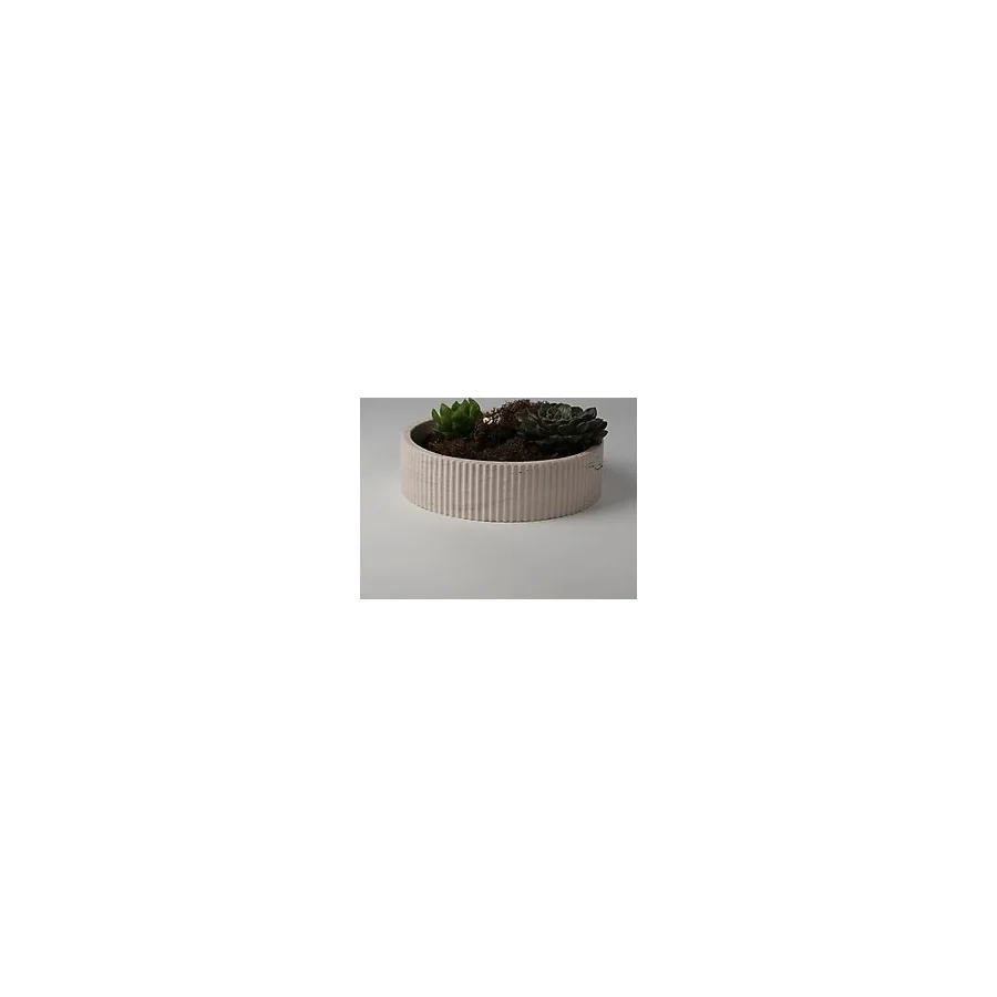 Kaju Creative Dekoratif Beton Çizgili Kase - Sukulent - Mini Kaktüs - Bonsai - Aranjman Kasesi - Büyük/Küçük