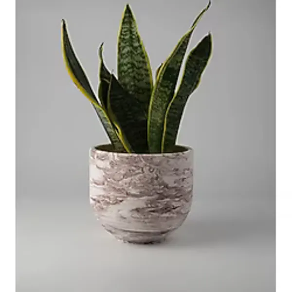 Kaju Creative Dekoratif Beton Saksı - Orta Boy Yuvarlak - 15X14CM 2l