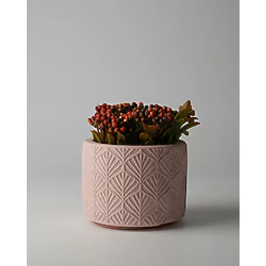 Kaju Creative Dekoratif Beton Saksı - Yaprak Desenli 8x10 0.25L Küçük Boy Saksı