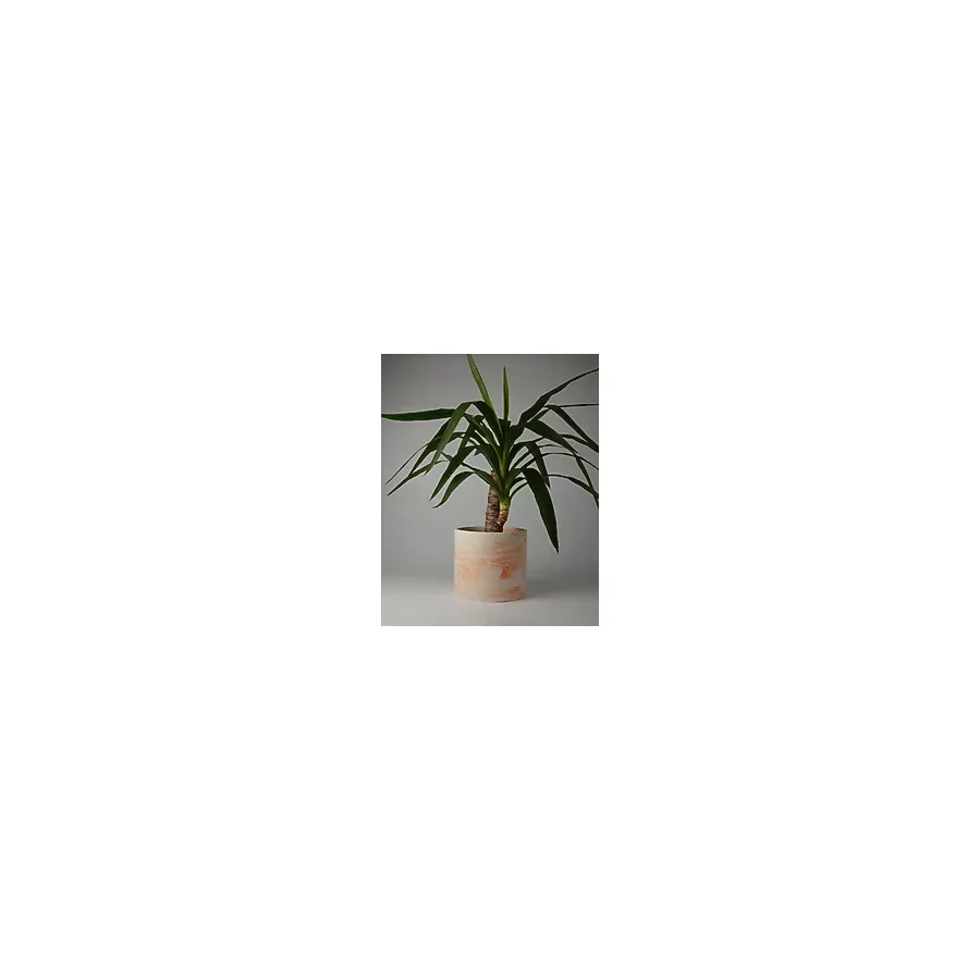Kaju Creative Dekoratif Büyük Boy Beton Saksı - Mermer Desenli- Silindir 4.5l - 20X18 cm