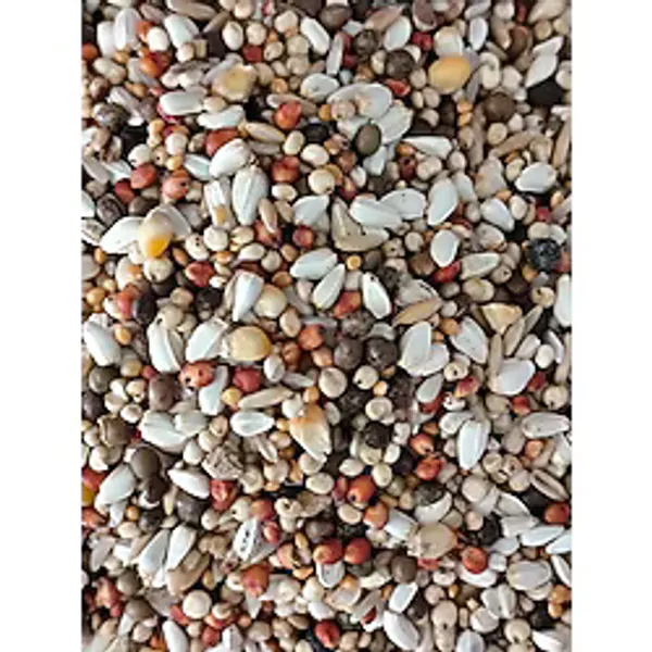 Kaju Guvercin Yemi 20Kg