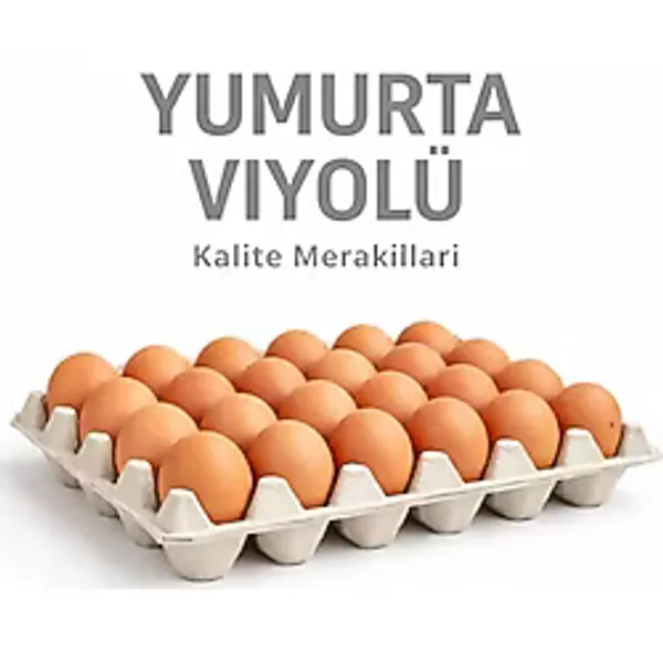 Kalite Meraklıları (100 Adet)30'lu Karton Yumurta Viyolü (100 Adet 17LBS)- Viyol Toptan Premium Kalite Yumurta Kutusu