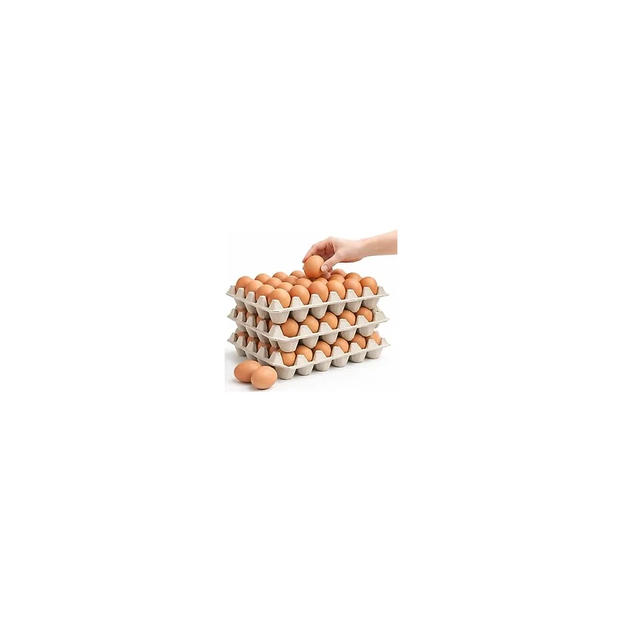 Kalite Meraklıları (13 Adet)30'lu Karton Yumurta Viyolü (13 Adet 17LBS)- Viyol Toptan Premium Kalite Yumurta Kutusu