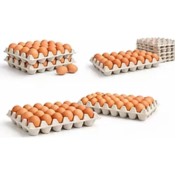 Kalite Meraklıları (16 Adet)30'lu Karton Yumurta Viyolü (16 Adet 17LBS)- Viyol Toptan Premium Kalite Yumurta Kutusu