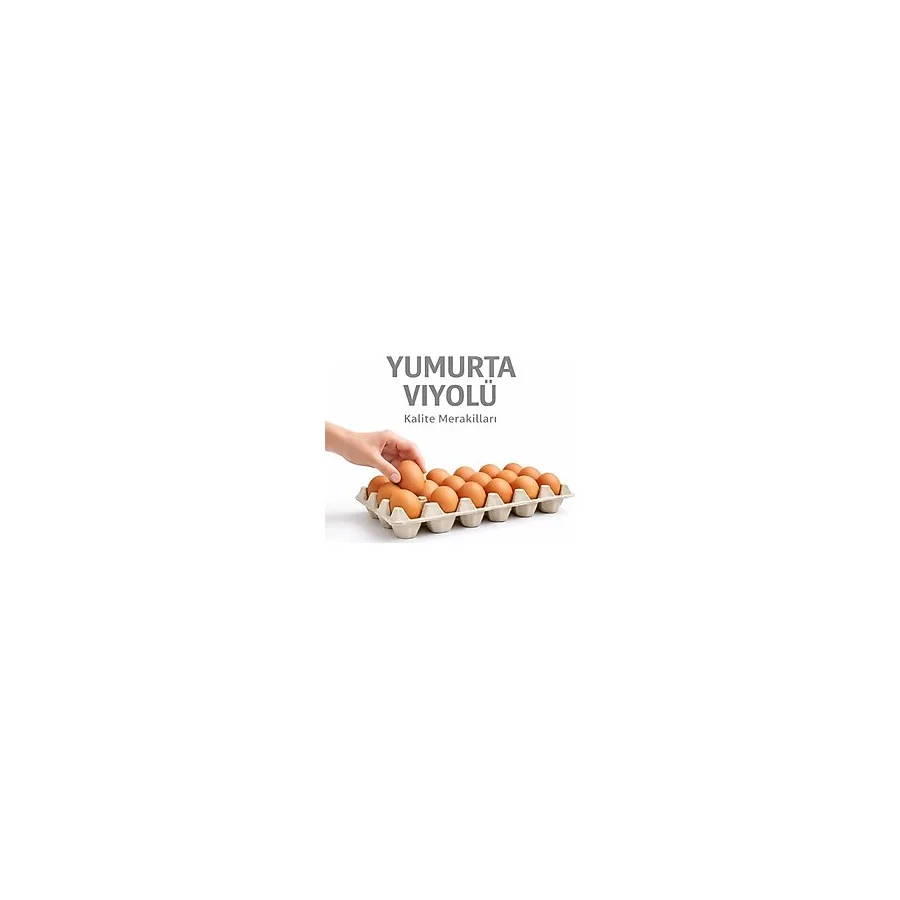 Kalite Meraklıları (50 Adet)30'lu Karton Yumurta Viyolü (50 Adet 17LBS)- Viyol Toptan Premium Kalite Yumurta Kutusu