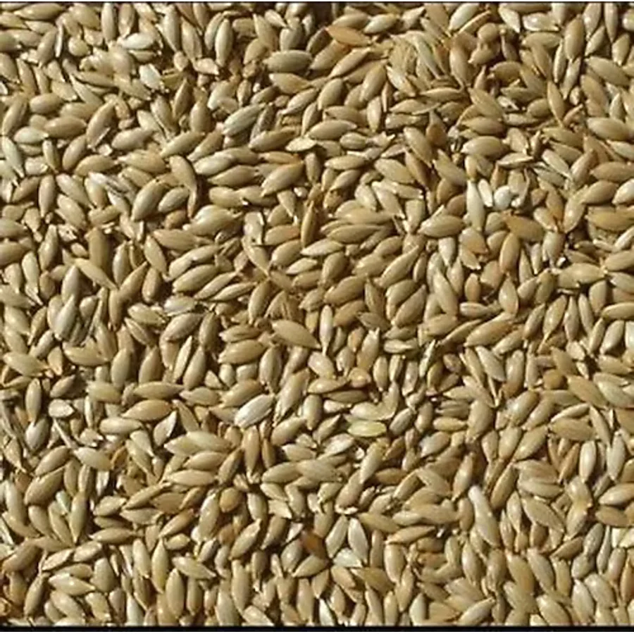 Kanarya Sade Yem 1 kg Aspur