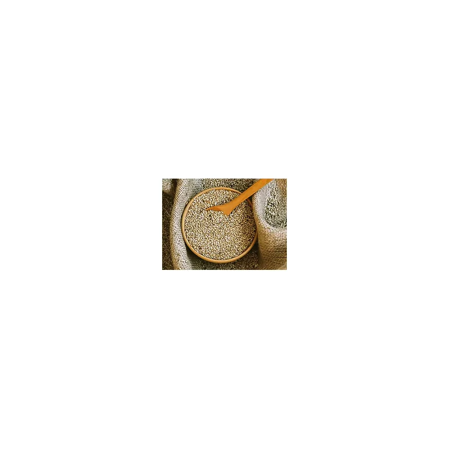 Kanarya Yemi İthal Kanada Aspur 500 G
