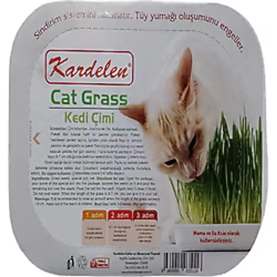 Kardelen Kedi Çimi
