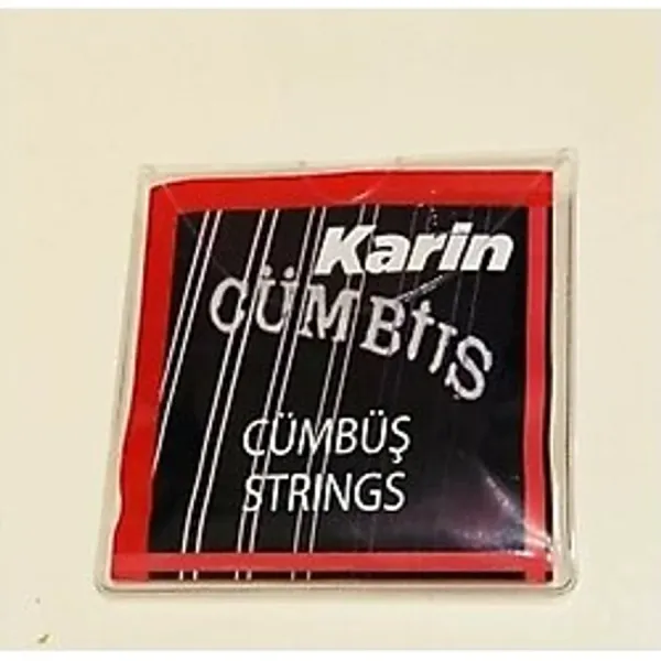 Karin Cümbüş Teli