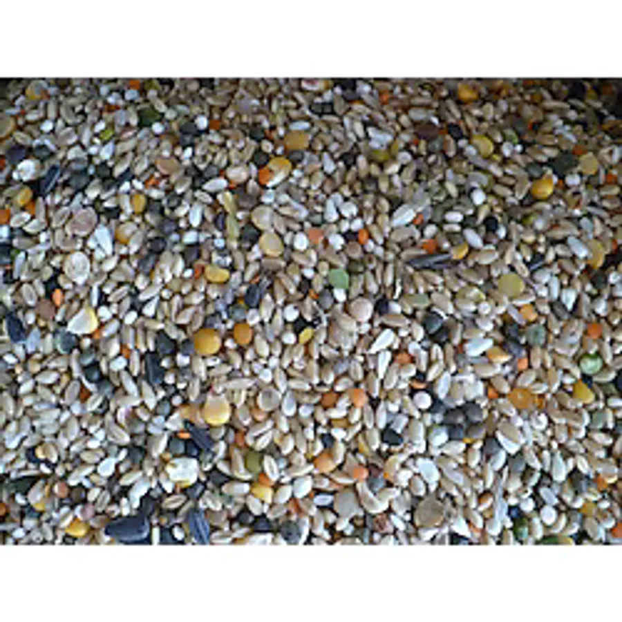 KARIŞIK GÜVERCİN YEMİ 10 KG BUĞDAYLI