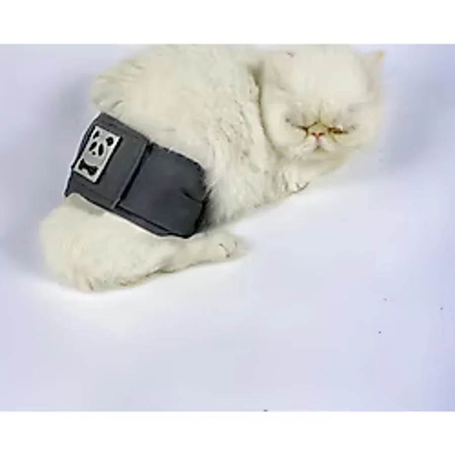 Kedi Cis Bel Bandi Yikanabilir Sizdirmaz Kedi Kiyafeti