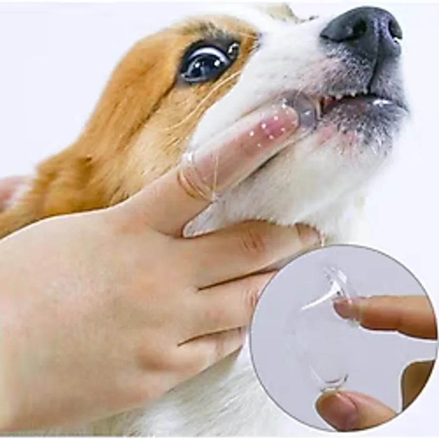 Kedi Köpek Parmak Diş Fırçası Kutulu Evcil Hayvan Diş Fırçası