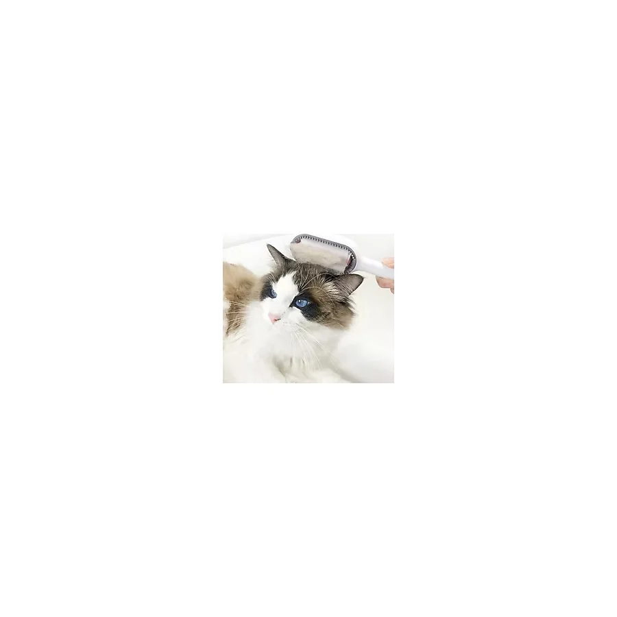 Kedi Köpek Tüy Toplama Tarağı Beyaz