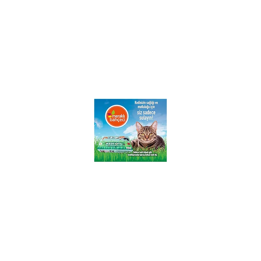 Kedi Otu Kit (Kedi Çimi Set) - Toprak, Saksı, Koruyucu File ve Tohum Seti