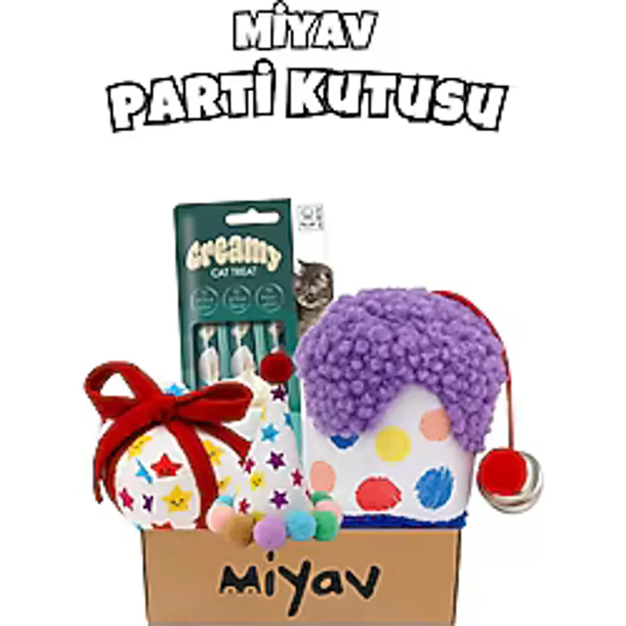 Kedi Parti Kutusu 4'lü Set Parti Şapkası, Peluş Pasta, Peluş Hediye Kutusu