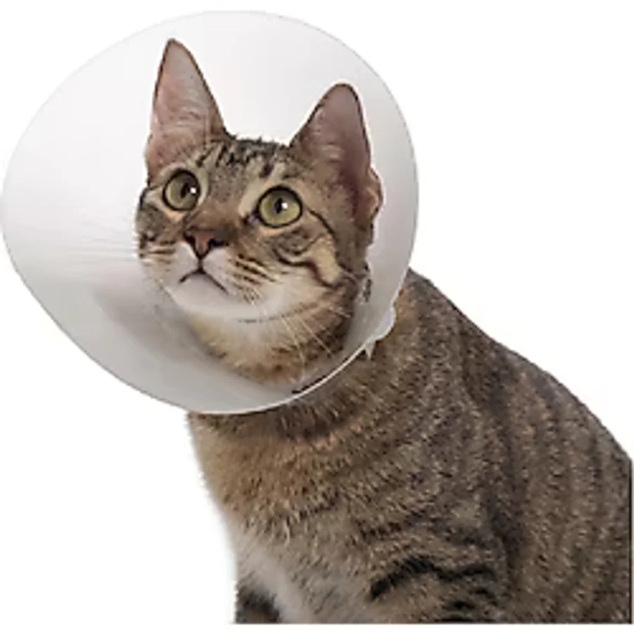 Kedi ve Köpek için Ekonomik Yakalık 75 mm