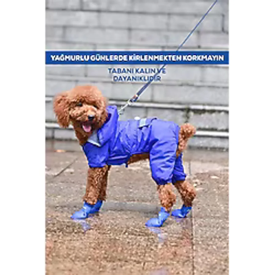 Kedi ve Köpekler İçin Pati Ayakkabısı, Silikon Kaymaz Taban Cırt Cırtlı Pati Ayakkabısı