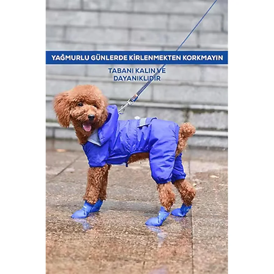 Kedi ve Köpekler İçin Pati Ayakkabısı, Silikon Kaymaz Taban Cırt Cırtlı Pati Ayakkabısı
