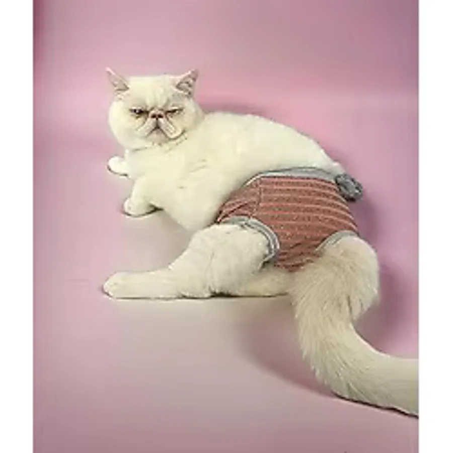 Kemique Pink Shine 's Secret Kedi İç Çamaşırı Regl Külot Don XS