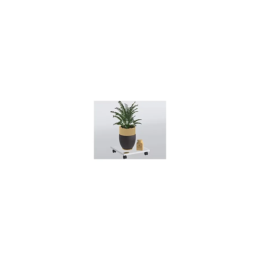 Kenzlife Saksı Damacana Altlığı Necmi Byz 010x039x39 Tüp Saksılık