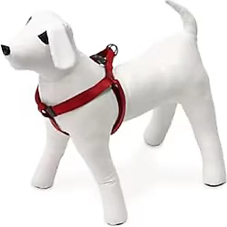 Kilitli Göğüs Tasma Xs 20-35CM Kırmızı