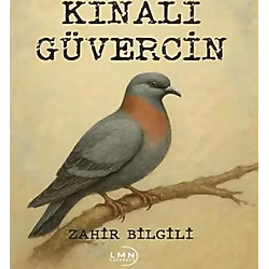 Kınalı Güvercin