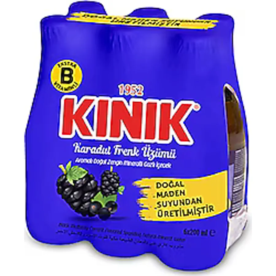 Kınık B Vitaminli 200 ml 6'lı Karadut Frenk Üzümü Aromalı