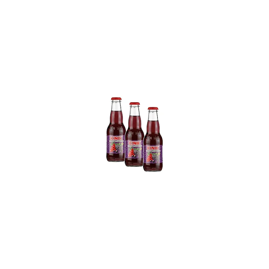 Kınık Extra B Vitaminli Karadut Frenk Üzümü Aromalı Doğal Zengin Mineralli Gazlı İçecek 200ml (3 paketi)