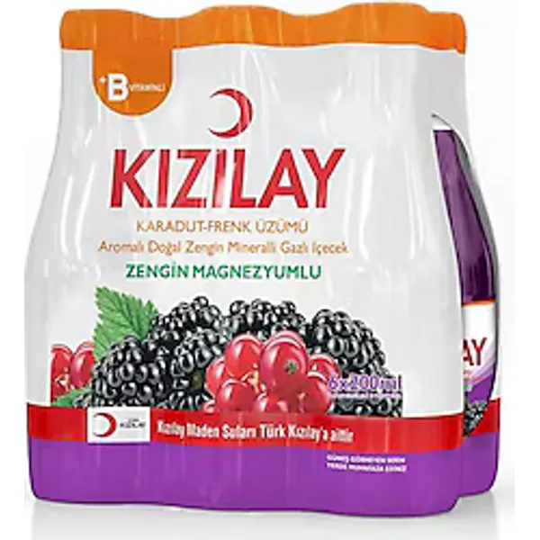 Kızılay Karadut Frenk Üzümlü Maden Suyu 6x200 ml