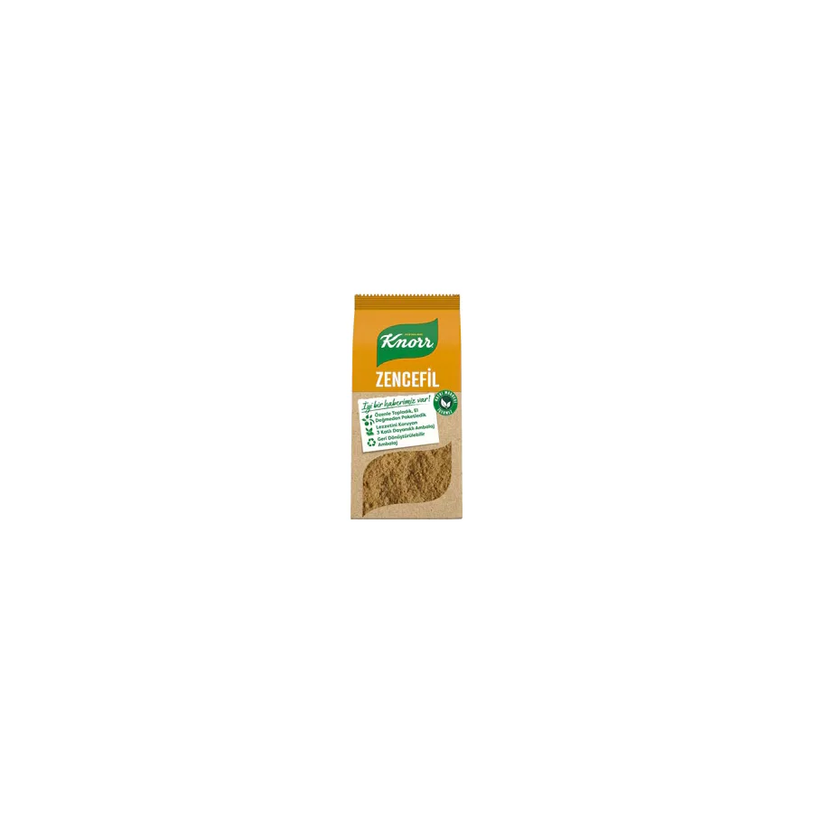 Knorr 50 gr Zencefil