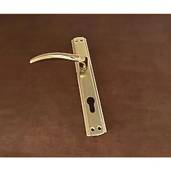 KOLDOOR Özen Trim Titanyum Lüx Aynalı Yale Çelik Kapı Kolu Sol Basar Tek Yön